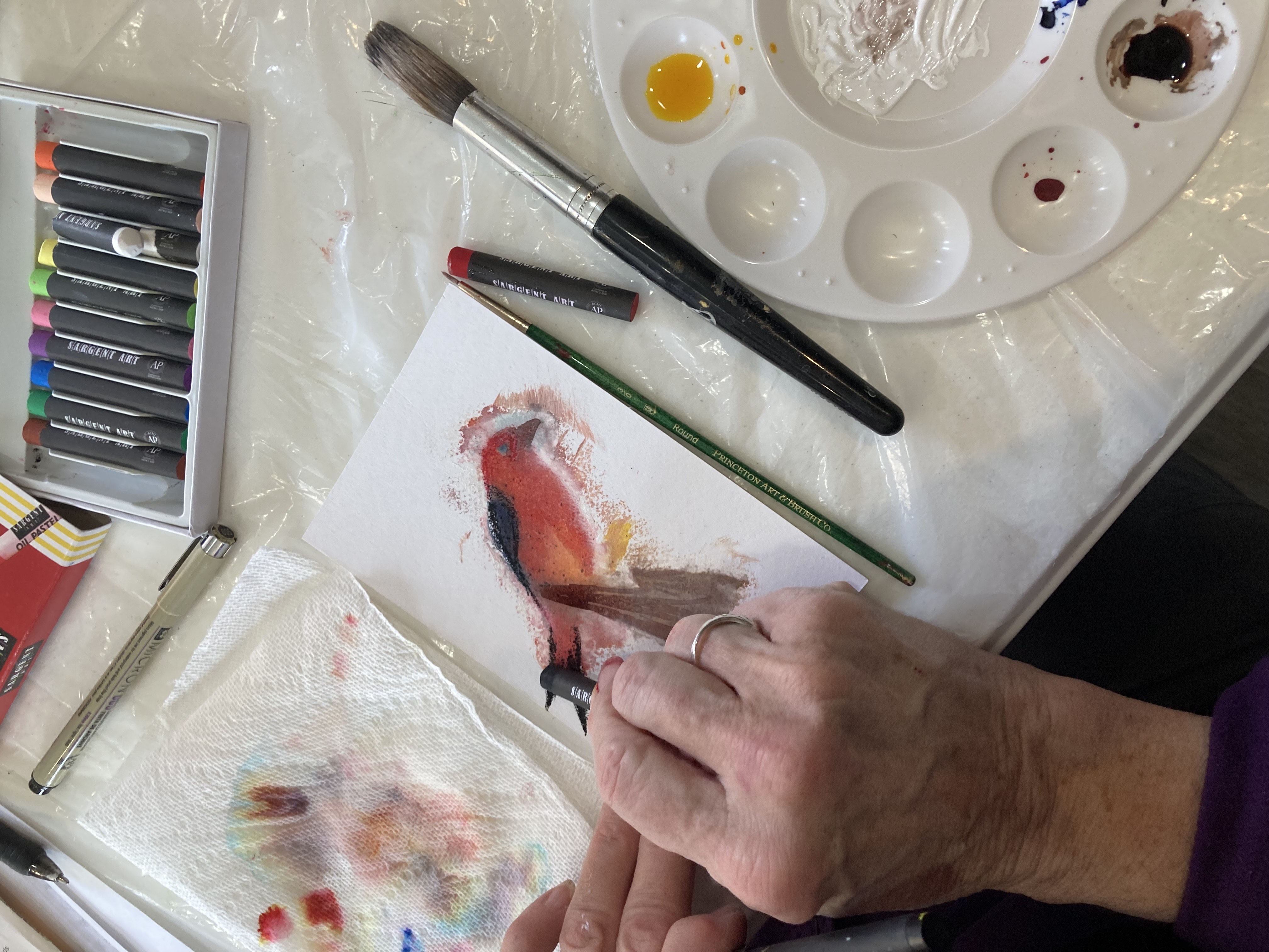 Artwork, a cat, from the program