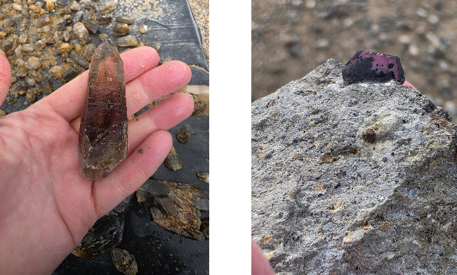 Montana specimens